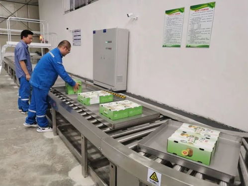 治愈系云游 廣西風情瑤鄉(xiāng)的美麗蝶變與廣東省基礎電信業(yè)務新篇章